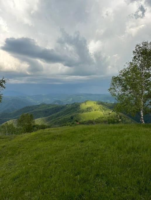 Hanul Cu Mesteceni Bosorod Exterior foto